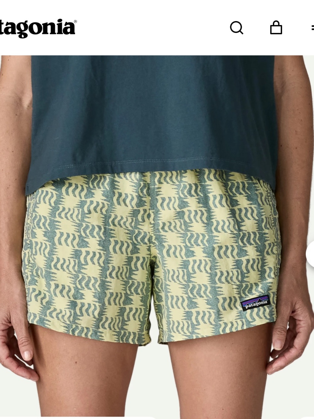 Patagonia Women's Baggies Shorts 4" Geometric Tribal Aztec Print XS